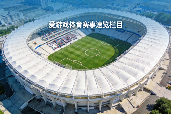 体育场看台与绿茵场地全景 - 爱游戏体育赛事速览栏目