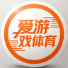 爱游戏体育官方品牌标识 - 橙色运动风格圆形图标