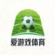 爱游戏体育官方Logo标志 - 绿色草坪与足球元素